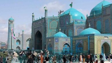 روضه شریف 6 14465654 758