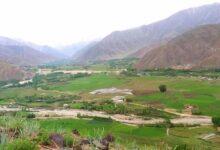 خوست و فرنگ