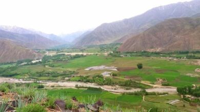 خوست و فرنگ