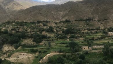 بازداشت و کوچ اجباری، کار روزمره طالبان در پنجشیر 3 WhatsApp Image 2022 07 18 at 2.52.25 PM