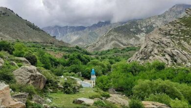 هر خانواده یک میل اسلحه تسلیم کنید! 7 WhatsApp Image 2022 07 20 at 1.26.45 PM