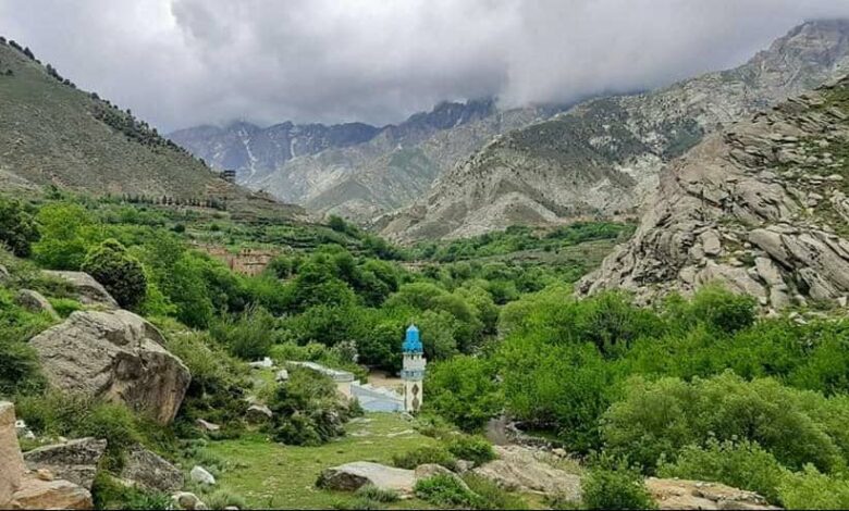 هر خانواده یک میل اسلحه تسلیم کنید! 1 WhatsApp Image 2022 07 20 at 1.26.45 PM