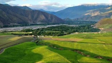 کشته شدن 7 نیروی طالبان در تخار 5 WhatsApp Image 2022 07 28 at 12.28.47 PM