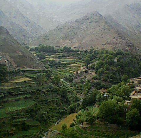 لت و کوب خانواده یکتازه عروس در پنجشیر توسط طالبان 1 WhatsApp Image 2022 07 31 at 12.37.28 PM