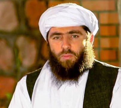 مصلح کیست و مفتی کیست؟ 1 مجیب الرحمن انصاری