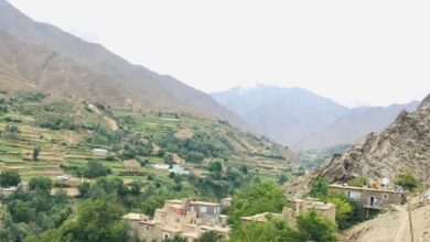 طالبان، 8 خانواده را از شهرستان دره کوچ دادند 6 WhatsApp Image 2022 08 22 at 11.48.11 AM