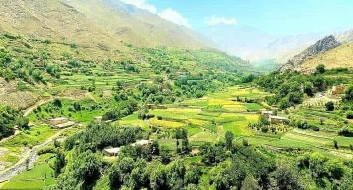 هجوم ملیشههای طالب به پنجشیر؛ بیش از ۵۰ طالب در دو روز کشته شدند 1 WhatsApp Image 2022 08 31 at 12.43.05 PM