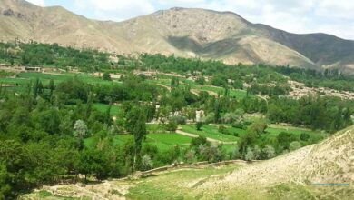 کشته شدن 2 طالب در بغلان 3 baghlan 1