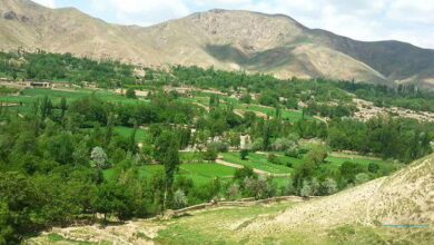 کشته و زخمی شدن 9 طالب در بغلان 3 photo 2019 10 27 10 01 36