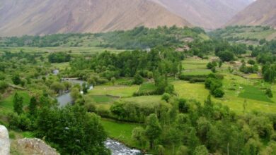 6 نیروی طالبان در شهرستان اشکمش کشته شدند 3 ورسج
