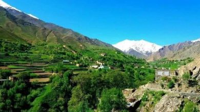 شکنجه یک عالم دینی و یک نظامی پیشین توسط طالبان در پنجشیر 4 WhatsApp Image 2022 09 18 at 3.25.47 PM