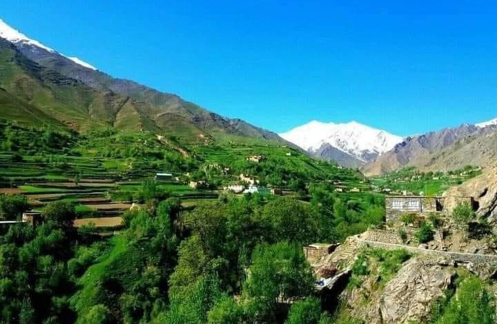 شکنجه یک عالم دینی و یک نظامی پیشین توسط طالبان در پنجشیر 1 WhatsApp Image 2022 09 18 at 3.25.47 PM