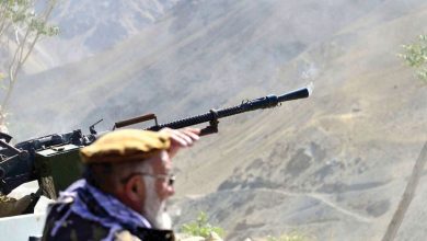 کشت و کار 4 1486827 329