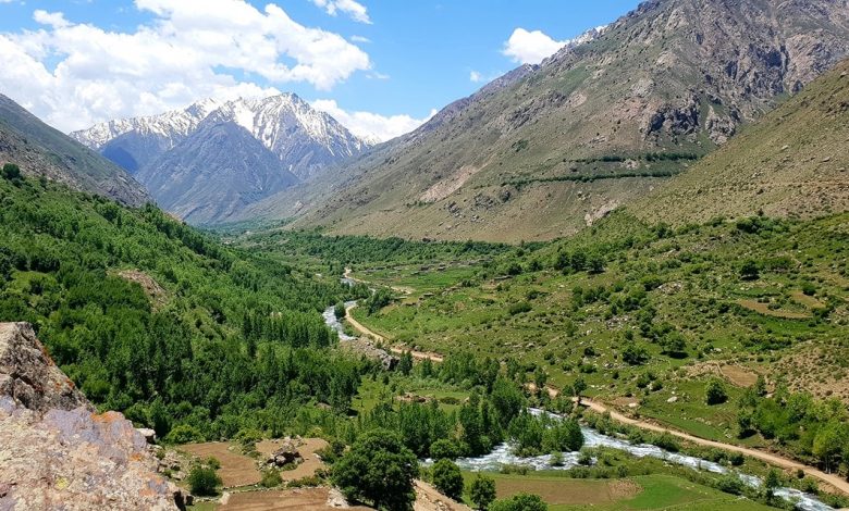 13طالب در نوستان به اسارت نیروهای جبهه مقاومت درآمد 1 6806149 819
