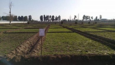 طالبان بیش از 220 ملیون افغانی در کندز عشر و زکات جمع کرده اند 7 قندوز 3 770x437 1