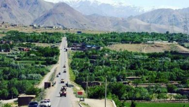 یک مرد در پروان برادرش را کشت 6 n00002442 b 1