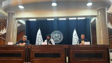 روند توزیع پاسپورت تا چند روز دیگر از سرگرفته میشود 4 n00002446 b