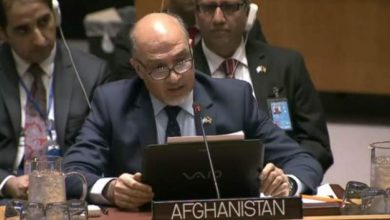 محمود صیقل: پذیرفتن نمایندهگان طالبان به عنوان دیپلمات اصول شکنی است 7 n00002480 b