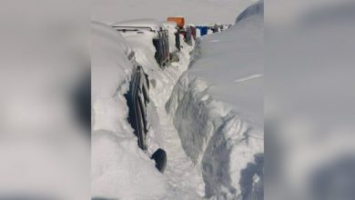 برف کوچ در بدخشان؛ 11 تن جان باختند 5 برف بدخشان 770x561 1