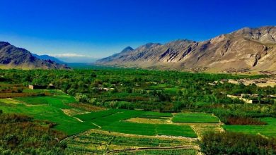 رنجر طالبان یک زرنج را در کاپیسا زیر گرفت؛ 7 تن کشته و زخمی شدند 4 6783982 343