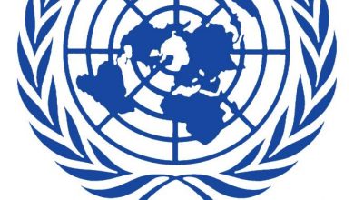 UNAMA Logo