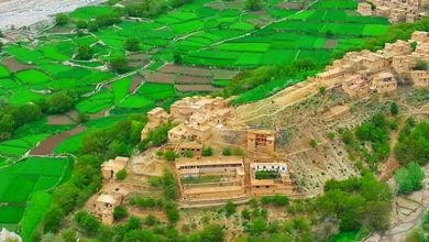 نزاع بر سربرگزاری ختم قرآن در کاپیسا؛ 6 تن کشته و زخمی شدند 7 kapisa province