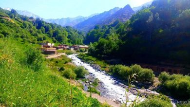 بازرسی گسترده خانهبهخانه در پنجشیر؛ طالبان ۲۵ تن را بازداشت کردند 7 nody دره پنجشیر روی نقشه 1631208804