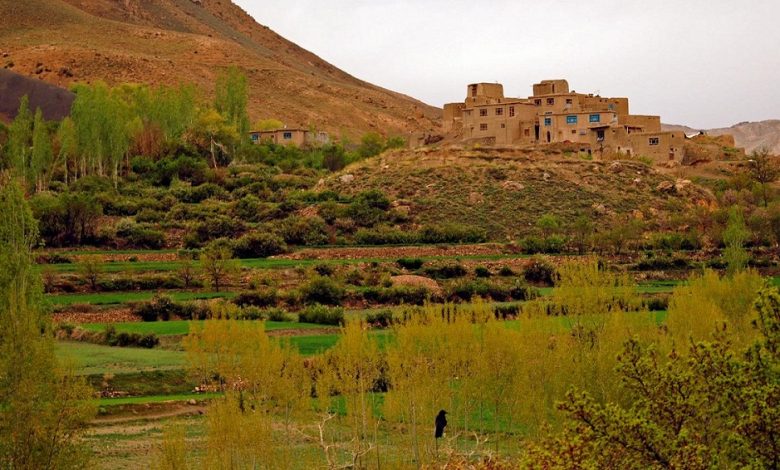 خودکشی یک زن در غزنی 1 17 01 4908