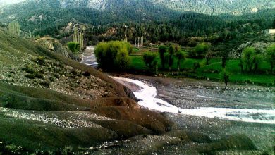 یک زن توسط شوهرش در پکتیکا سربریده شد 5 Green mountains of zerok