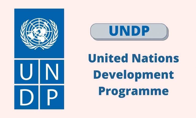 معرفی نماینده جدید برنامه انکشافی سازمان ملل در افغانستان 1 United Nations Development Programme