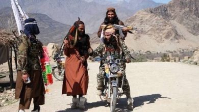 بزرگ قومی در درگیری با طالبان در پکتیا زحمی شدند 5 118886370 taliban 1