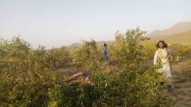 Paktika 222