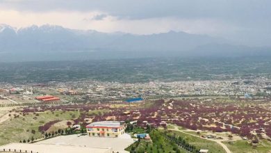 تفنگداران یک کشاورز در پروان تیرباران کردند 6 parwan