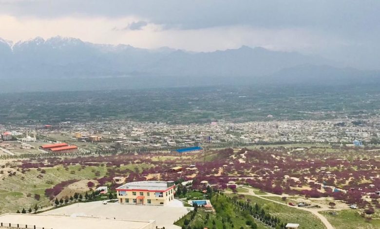 تفنگداران یک کشاورز در پروان تیرباران کردند 1 parwan