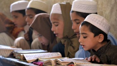 رشد مدارس دینی و باز تولید تفکر تروریستی تحت حاکمیت طالبانی 7 taliban 768x473 1