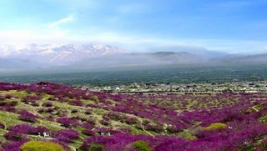 Parwan2