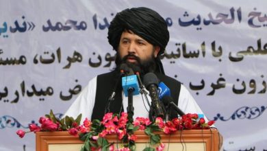وزیر تحصیلات گروه طالبان: تمام مردم افغانستان پیرو مذهب حنفیاند 4 e6f8b617faeb5f863009482c5c8fefe884525dde 1000x666 1 880x460 1