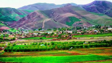 گروه طالبان در تخار یک فرمانده تاجیکتبار شان را بازداشت کردند 3 101517066 1355865801290881 4266531124987035648 n