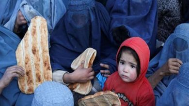 دفتر توسعهی سازمان ملل: از هر ۱۰ نفر در خراسانافغانستان ۷ نفر امنیت معیشتی ندارد 3 1806678