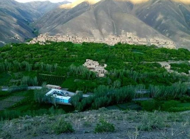 افراد مسلح در استان پروان دو برادر را تیرباران کردند 1 188482544 4186647554714583 4110080791112723140 n