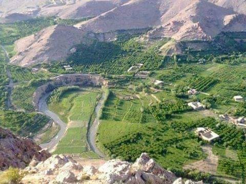 کوچیها به همکاری گروه طالبان مبلغ ۳۰ میلیون روپیه از باشندگان هزارهتبار ارزگان باجگیری کردند 1 71099363 2487761971318751 5278665332502822912 n