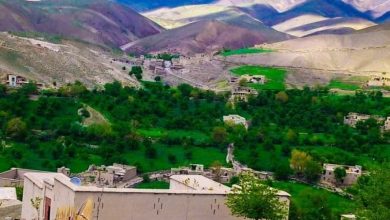 ادامه بازداشت دختران؛ گروه طالبان ۴ دختر را در دایکندی بازداشت کردند 7 پاتو ولایت دایکندی