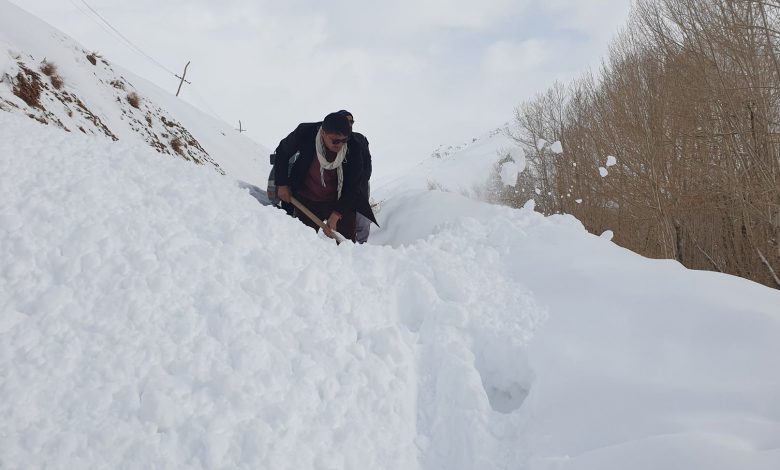 سرمای شدید جان یک مرد را در غزنی گرفت 1 1