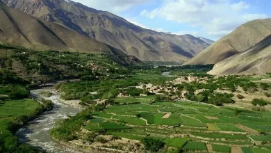 شورای جهانی پنجشیریان: گروه طالبان ۲۸۵ خانه و ۱۲ باب مکتب را در استان پنجشیر غصب کرده اند 5 EybXjmaIv7Tt