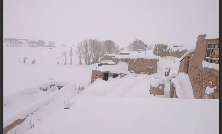 در اثر برفباری شدید، راههای مواصلاتی چهار شهرستان غزنی مسدود شد 1 Screenshot 20240219 101305 Facebook
