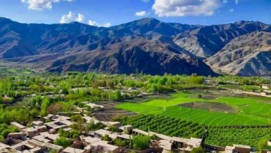 اندراب در حلقوم کانگسترها؛ ظلم، تجاوز و زندان 5 fff b 1
