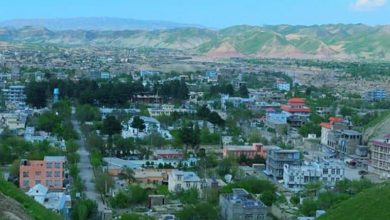 یک زن در استان بادغیس به قتل رسید 4 169456504