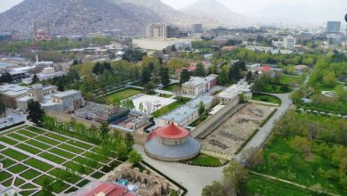 Presidential Palace panoramio 7