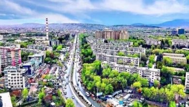 خودکشی یک زن در قندهار 6 Screenshot 20240319 144258 Chrome