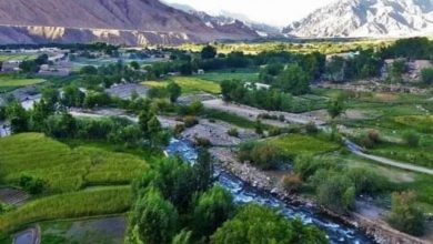 ادامه حملات جبهه مقاومت ملی بر گروه طالبان؛ یک فرمانده گروه طالبان با محافظش در بغلان کشته شد 5 Screenshot 20240328 114217 Facebook
